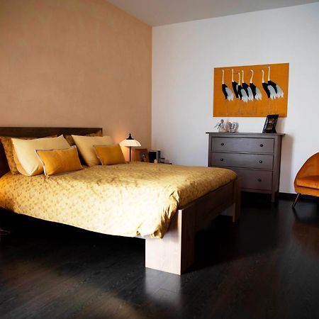 Sound Of Colors - Art Design Apartment Desenzano del Garda Bagian luar foto